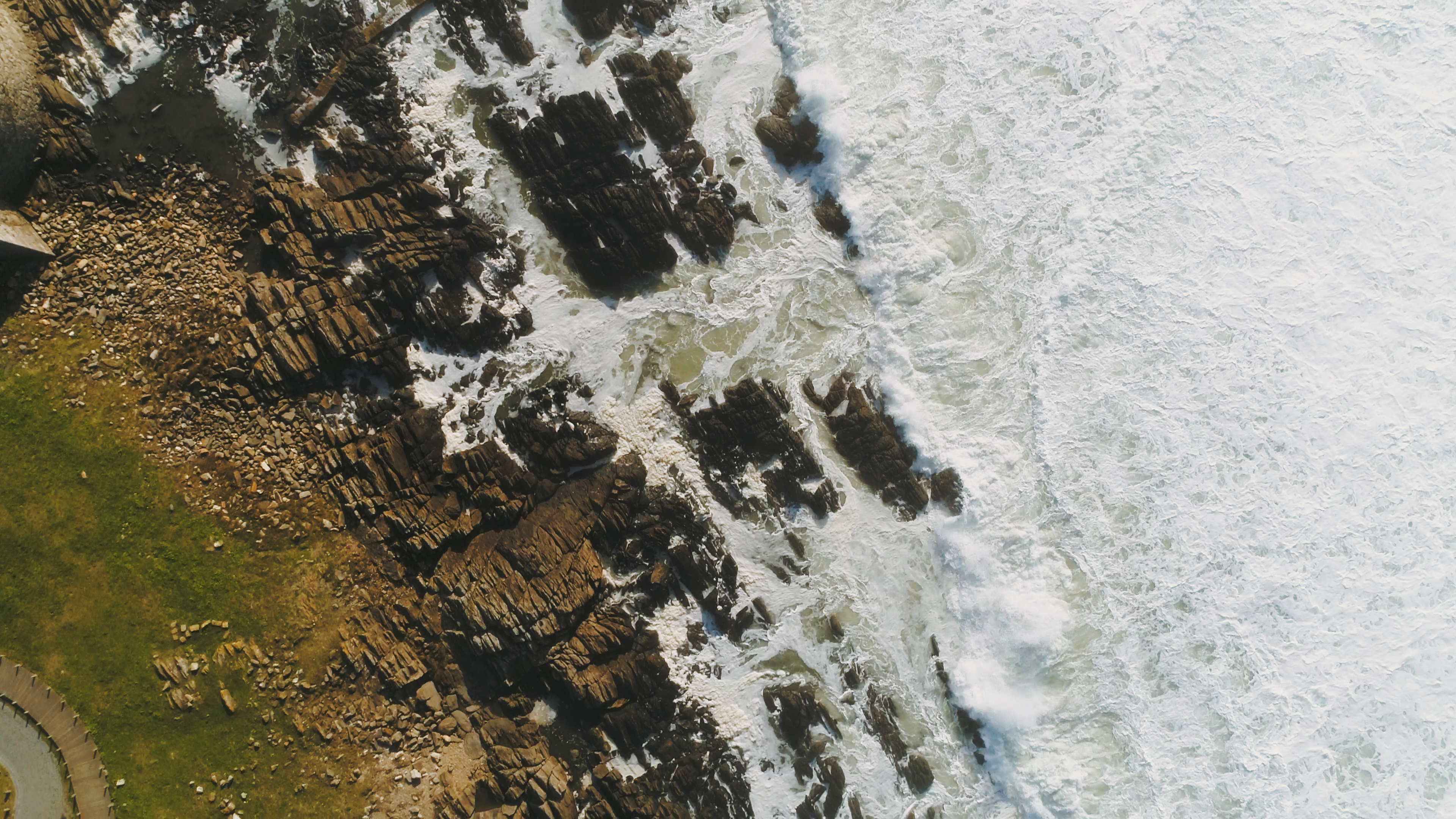 Conoce a los miembros