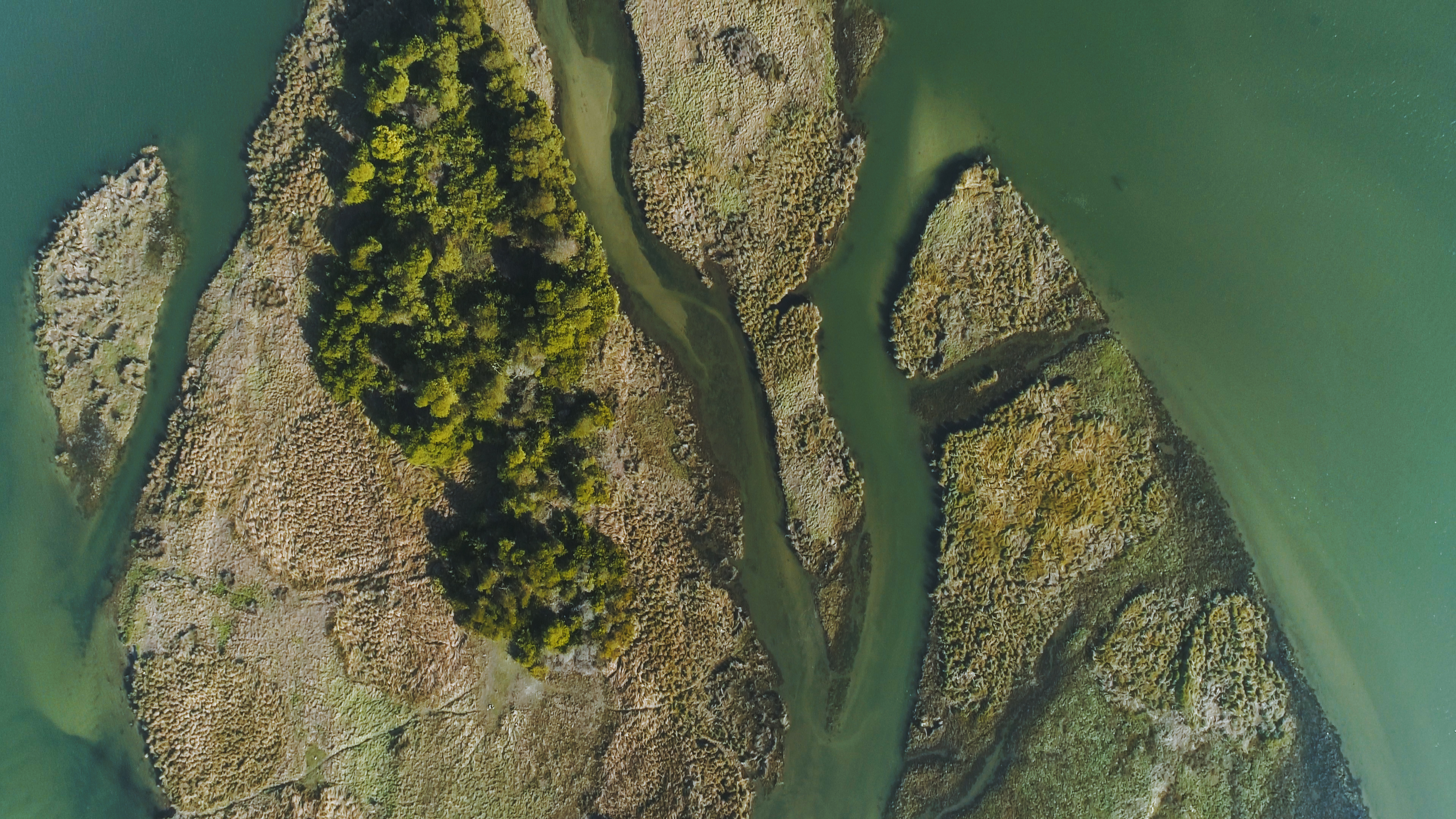 Red colaborativa para la gestión y reducción del contaminantes emergentes en el agua